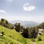 Shali Tibba Trek Things To Do in Shimla, Himachal Pradesh
